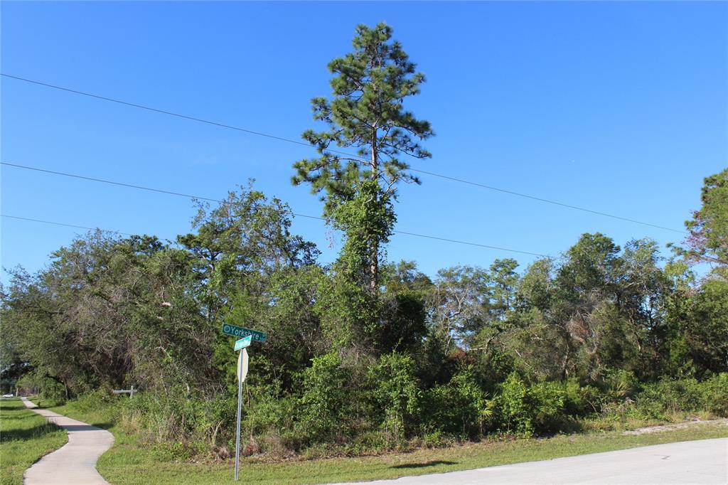 A paved road stretches into the distance, flanked by dense trees and a concrete sidewalk — 3145 YORKSHIRE DRIVE, DELTONA, FL