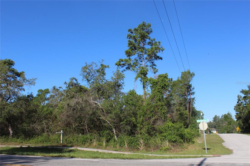 A tall pine tree stands in a wooded lot at a street corner with a sidewalk — 3145 YORKSHIRE DRIVE, DELTONA, FL