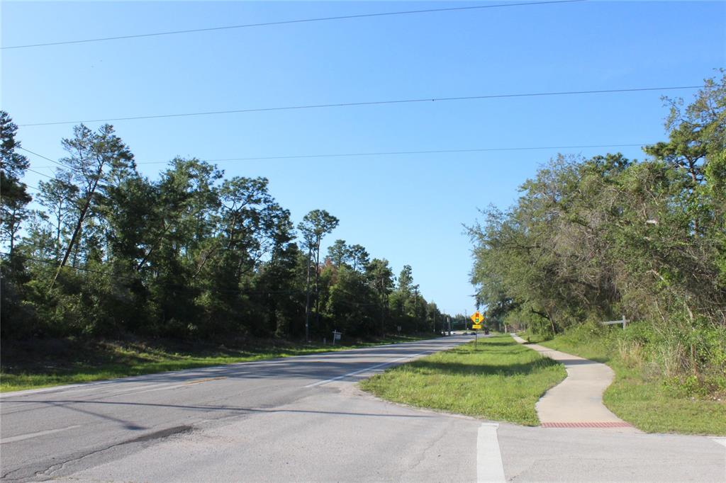 A paved road runs alongside a wooded lot with tall pine and oak trees — 3145 YORKSHIRE DRIVE, DELTONA, FL