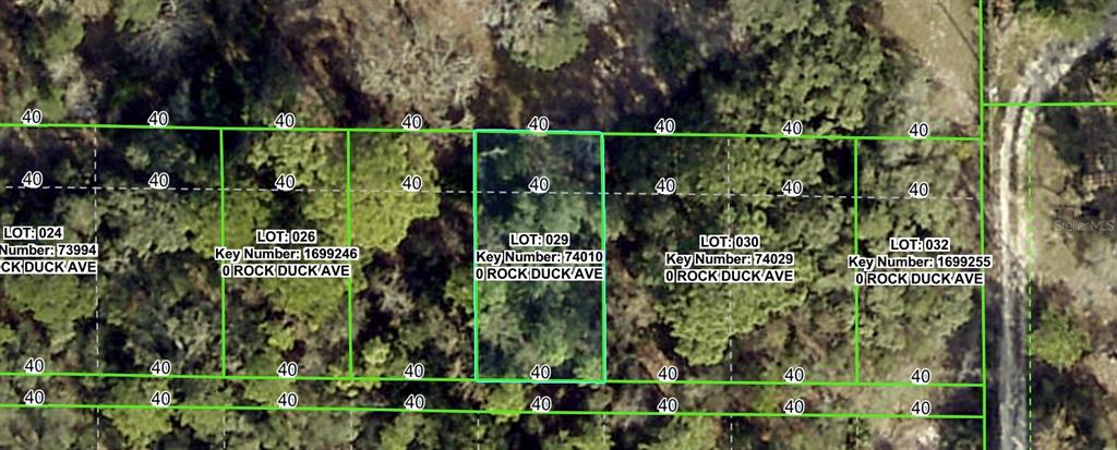 This is an aerial map showing property lot lines and parcel numbers for wooded land — ROCK DUCK AVENUE, BROOKSVILLE, FL