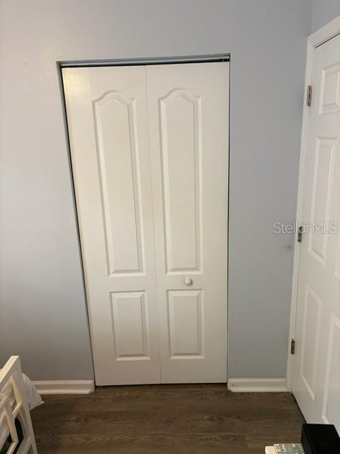 A white bi-fold closet door is set against a light blue wall with wood-look flooring — 7211 N TALIAFERRO AVENUE, TAMPA, FL