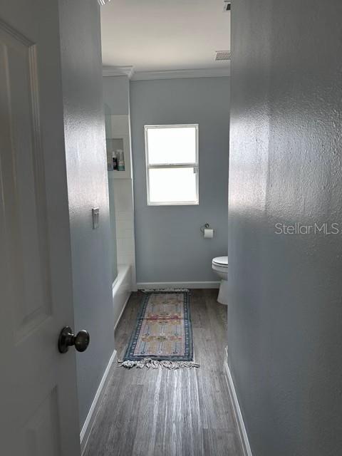 A bathroom features light blue walls, wood-look flooring, a patterned runner rug, and a window — 7211 N TALIAFERRO AVENUE, TAMPA, FL