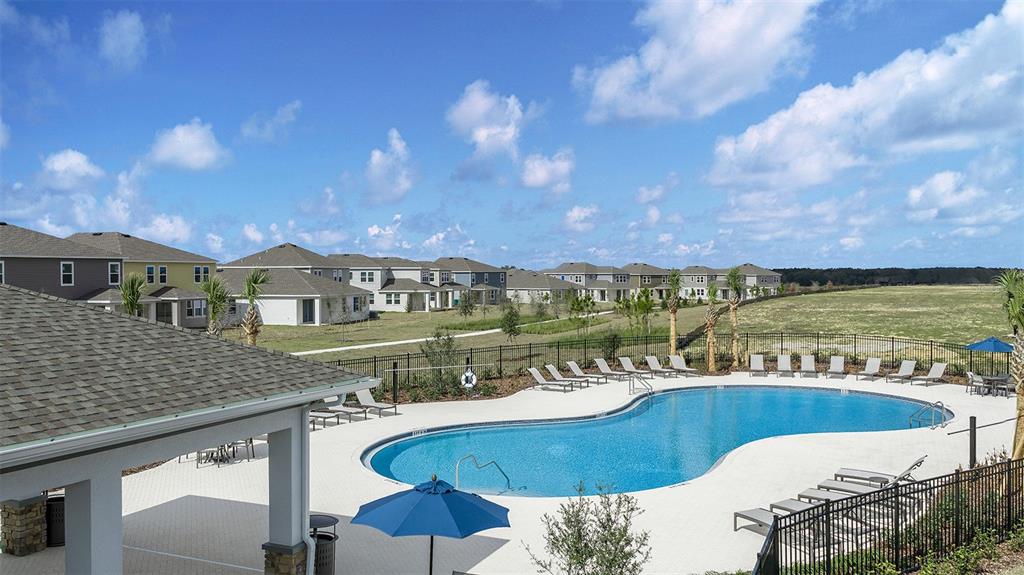 An outdoor swimming pool with lounge chairs and umbrellas sits beside a residential neighborhood — 515 MOONSTONE COURT, GROVELAND, FL