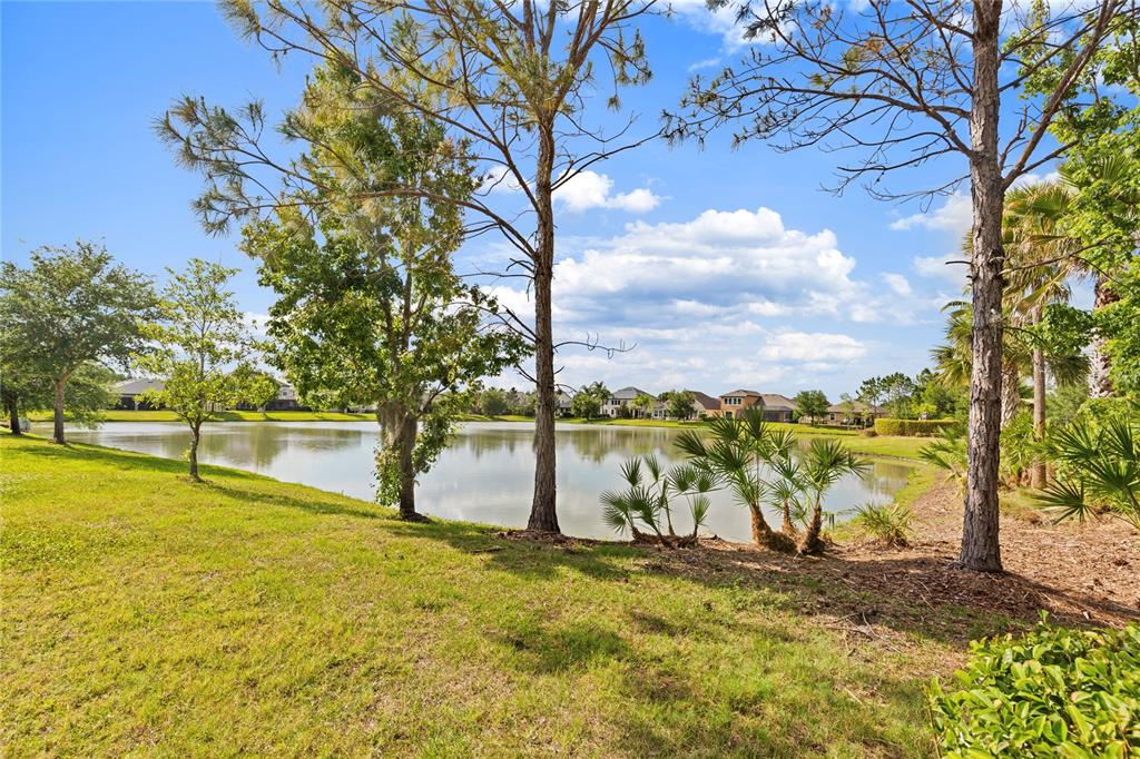 A grassy lawn leads to a pond with houses visible in the background — 31976 WATOGA LOOP, WESLEY CHAPEL, FL
