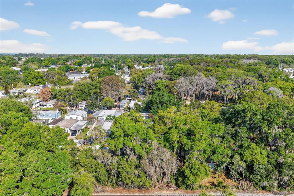 An aerial view shows a residential area with several houses nestled among dense green trees — 904 MAPLEWOOD STREET, TAVARES, FL