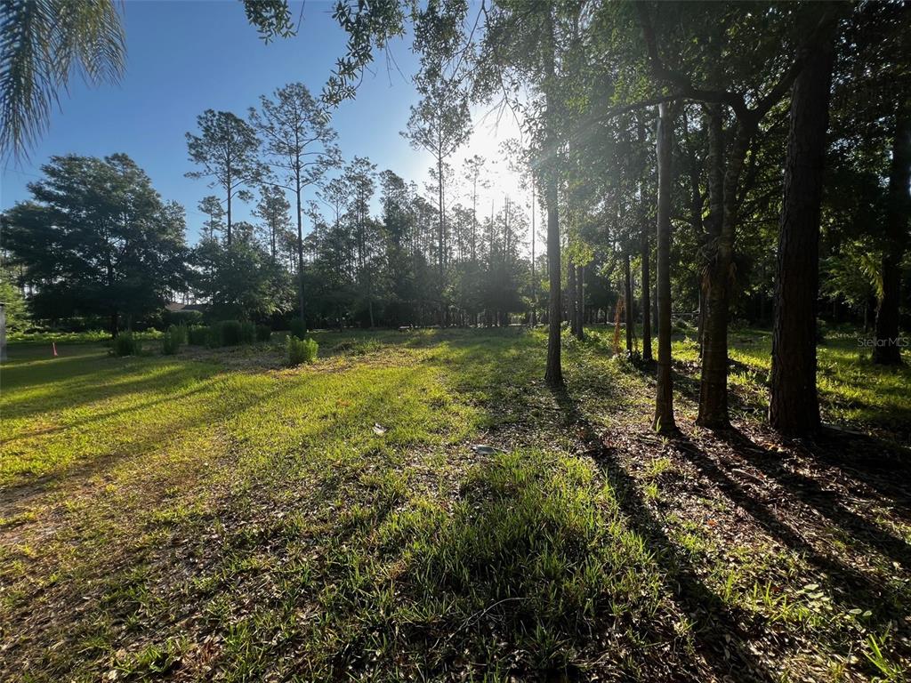 NEWBERGER, LUTZ, FL — photo 2 of 6