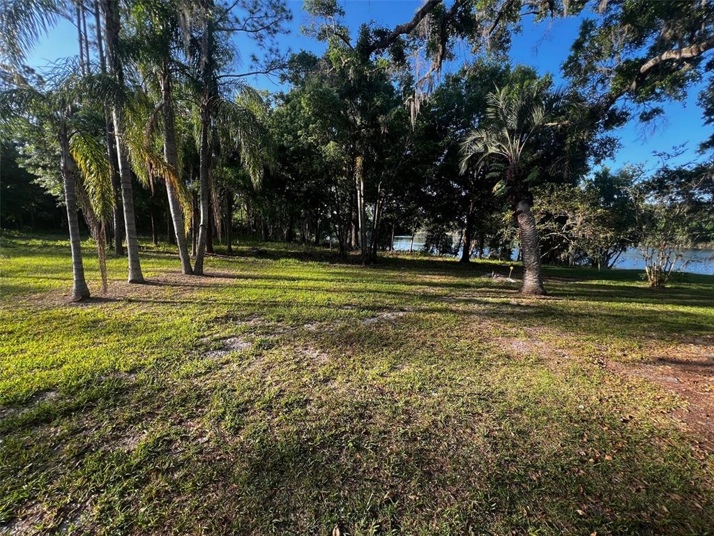 NEWBERGER, LUTZ, FL — photo 3 of 6