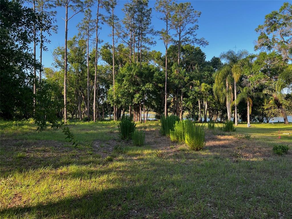 NEWBERGER, LUTZ, FL — photo 4 of 6