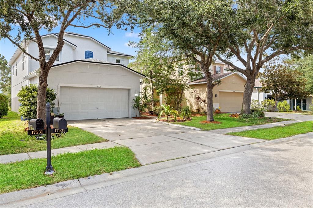 Two suburban houses with driveways and lawns are viewed from the street — 17535 BALMAHA DRIVE, LAND O LAKES, FL