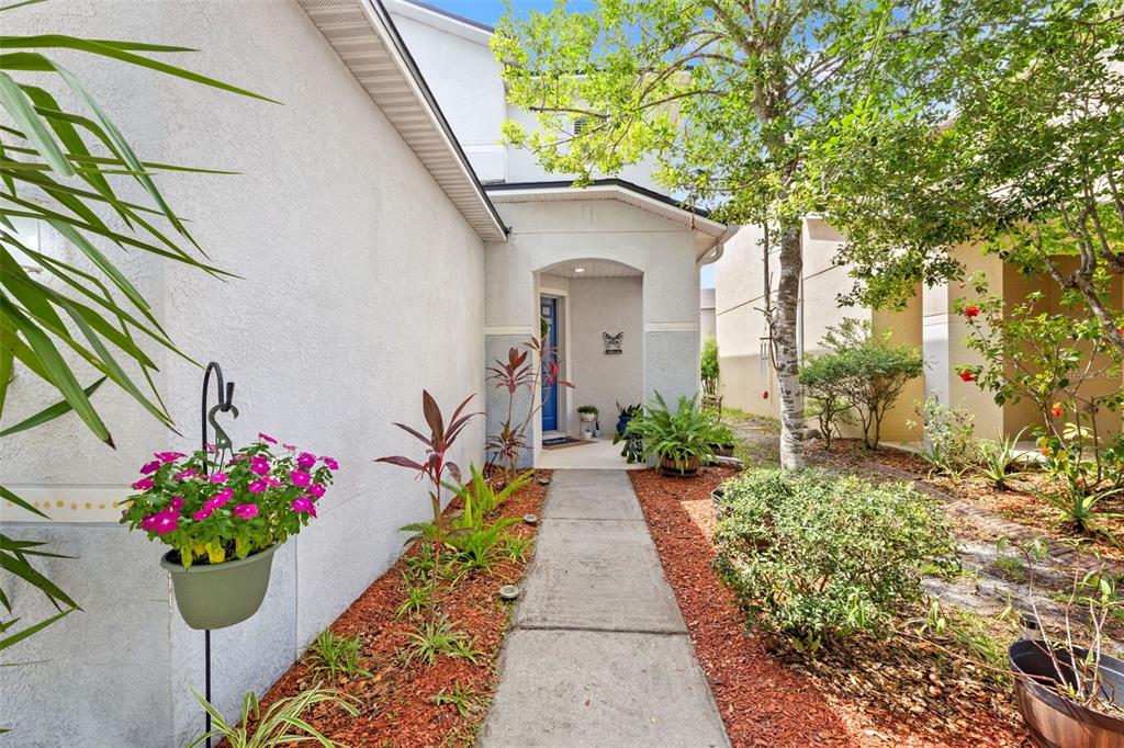 A concrete walkway leads to the blue front door of a house with landscaped beds — 17535 BALMAHA DRIVE, LAND O LAKES, FL