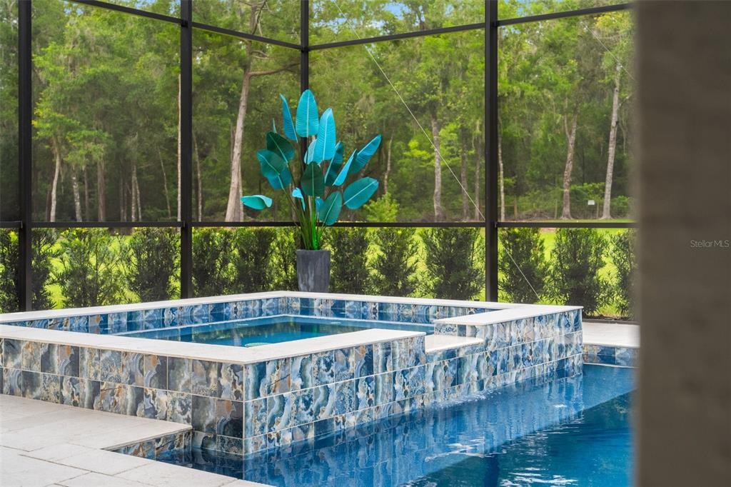 A tiled spa and swimming pool sit inside a screened lanai with a blue plant — 1825 W OAK VALLEY COURT, HOMOSASSA, FL