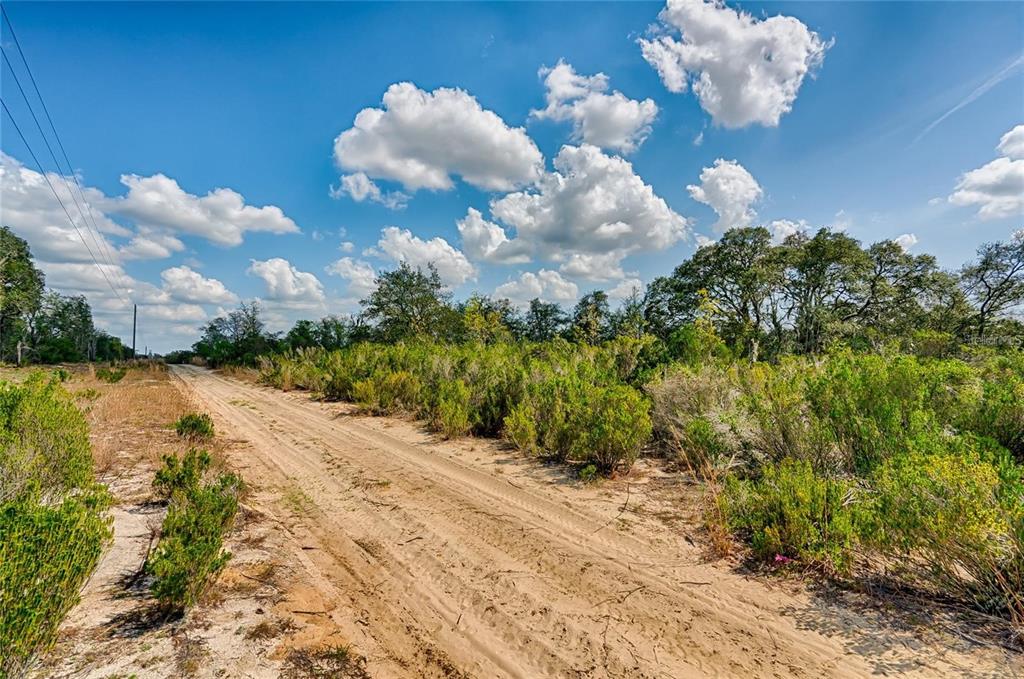 A dirt road runs alongside a plot of undeveloped land with shrubs and trees — 000 NE 68TH PLACE, WILLISTON, FL