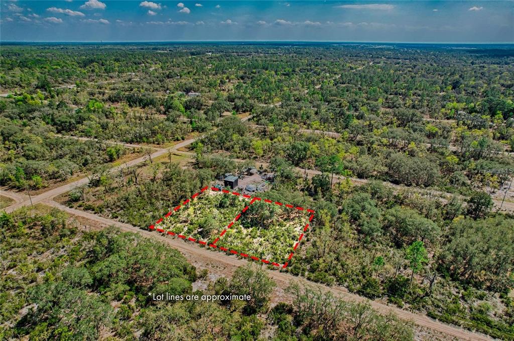 An aerial view shows two adjacent, wooded, undeveloped lots marked by a red outline — 000 NE 68TH PLACE, WILLISTON, FL
