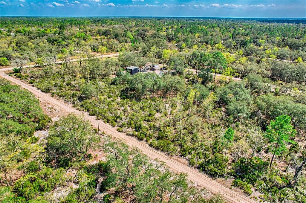 An aerial view shows a dirt road winding through a dense, wooded rural landscape — 000 NE 68TH PLACE, WILLISTON, FL