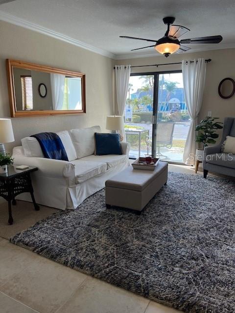 A living room features a white sofa, a textured rug, and a sliding glass door — 455 ALT 19 S UNIT 65, PALM HARBOR, FL
