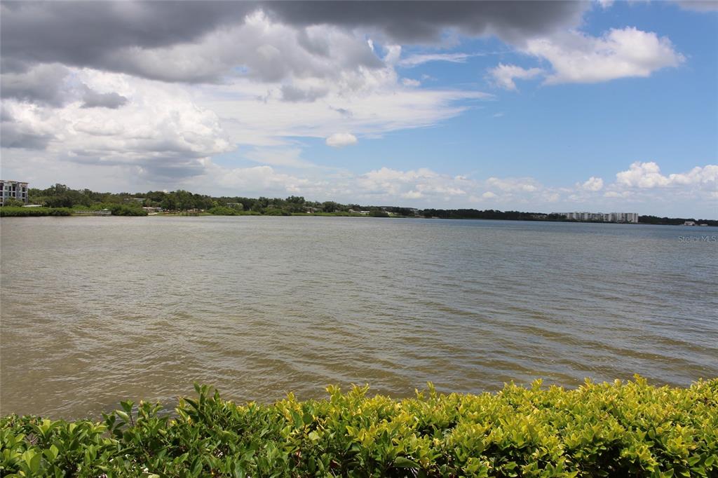 A view of a large lake with a hedge in the foreground under a cloudy sky — 19029 US HIGHWAY 19 N UNIT 16C, CLEARWATER, FL