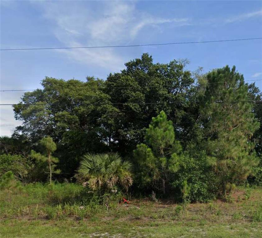 A vacant, wooded lot features a mix of pine trees, palmettos, and dense foliage — 8014 SW 135TH STREET ROAD UNIT 08, OCALA, FL