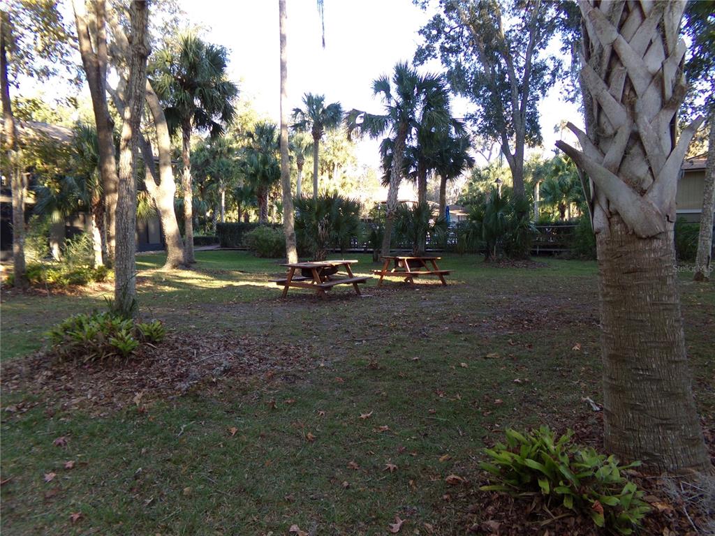 A grassy outdoor area features two wooden picnic tables surrounded by palm trees and foliage — 110 CYPRESS WOODS CT UNIT 5C, DELTONA, FL