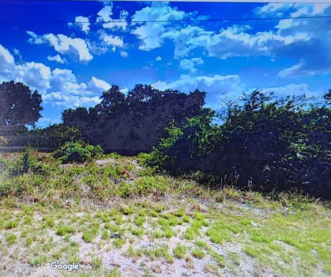 A vacant, grassy lot with scattered low-lying vegetation and a dense line of trees behind — 810 E Wolverine Street E, Lehigh Acres FL 33974, LEHIGH ACRES, FL