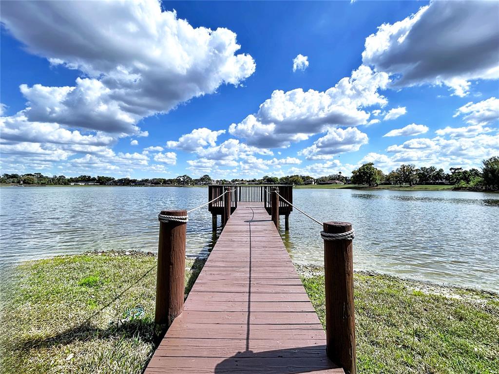 A wooden dock extends into a lake under a bright, cloudy sky — 2881 HAMMOCK DRIVE, PLANT CITY, FL