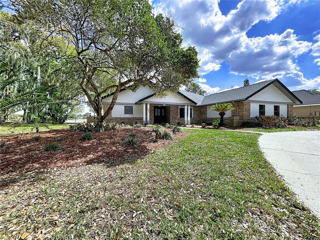 A single-story house with white siding and brick accents sits behind a large tree — 2881 HAMMOCK DRIVE, PLANT CITY, FL