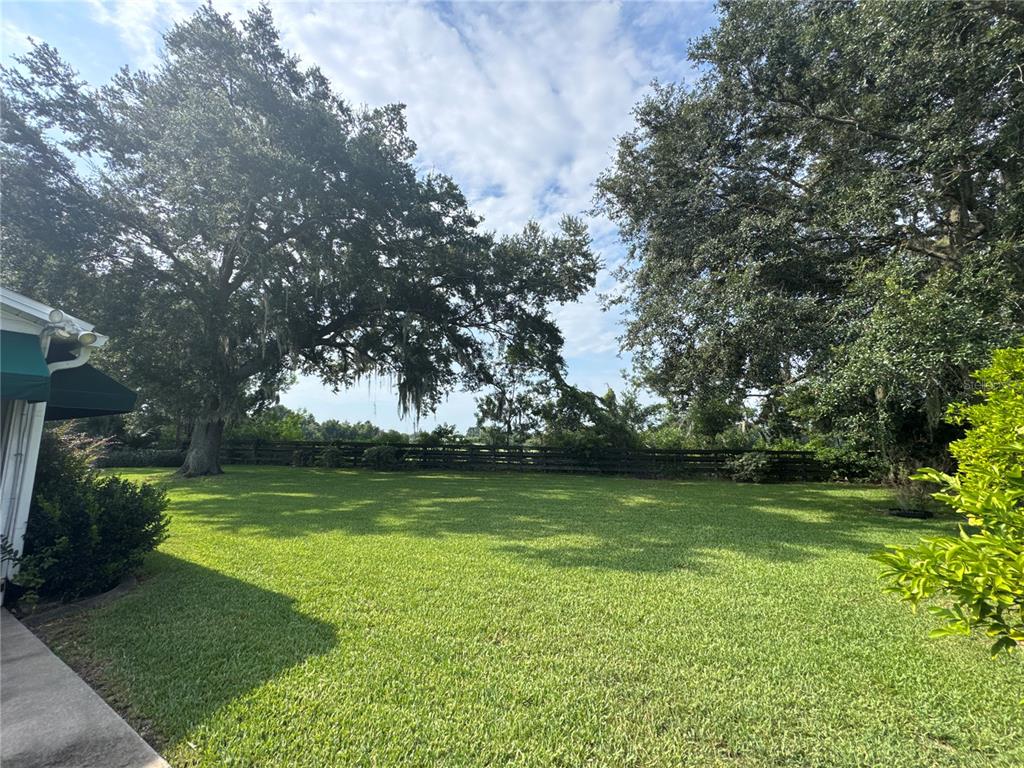 A grassy backyard features large oak trees and a dark wooden fence — 17481 SE 76TH FLINTLOCK TERRACE, THE VILLAGES, FL