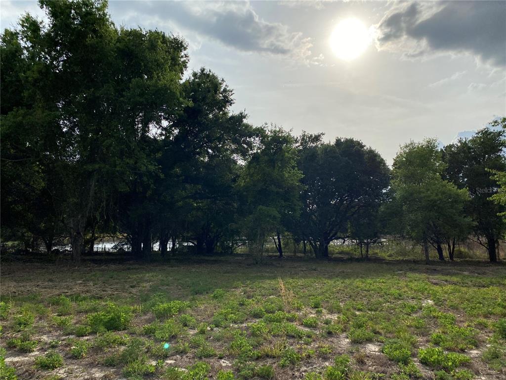 A grassy, partially cleared lot features a line of mature trees against a bright sky — SOUTH O 'BRIEN ROAD, GROVELAND, FL