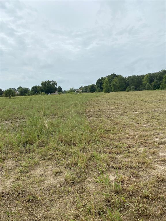 A large, partially mowed grassy field under a cloudy sky with trees in the distance — SOUTH O 'BRIEN ROAD, GROVELAND, FL