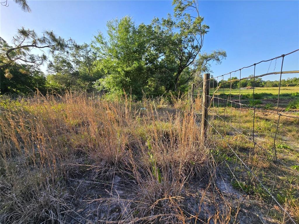 A wire fence runs along a grassy field with trees in the background — WALLER ROAD, NORTH PORT, FL