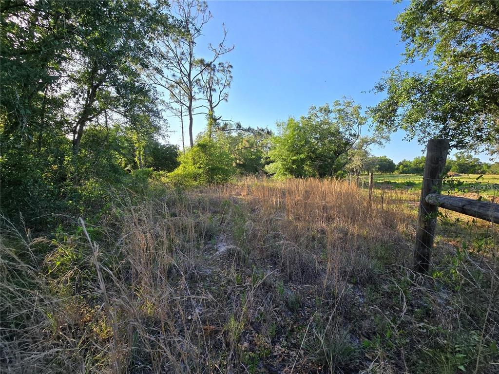A view of a grassy, wooded lot bordered by a wooden fence — WALLER ROAD, NORTH PORT, FL
