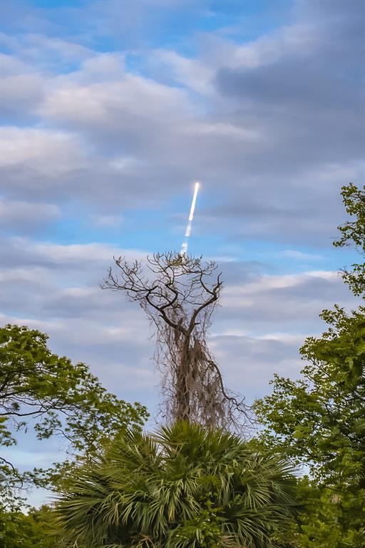 A bright rocket launch trail rises into the sky above a tall, bare tree — 11437 WAKEWORTH STREET, ORLANDO, FL