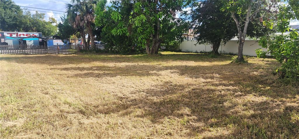 A large, flat, grassy vacant lot with several trees and a fence in the background — 2606 W COLUMBUS DRIVE, TAMPA, FL