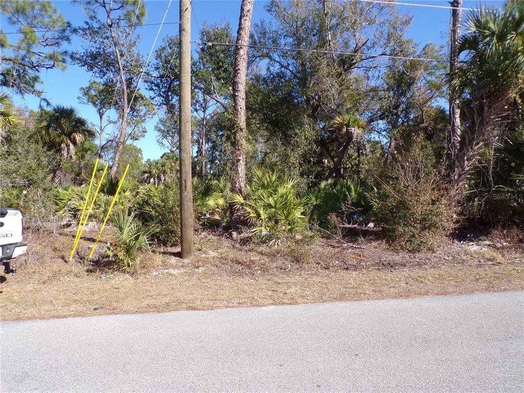 A paved road runs in front of a wooded lot with a utility pole — MERCED STREET, NORTH PORT, FL