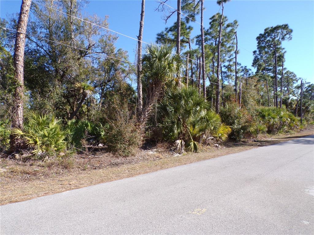A paved road runs alongside a wooded lot with pine trees and palmetto bushes — MERCED STREET, NORTH PORT, FL