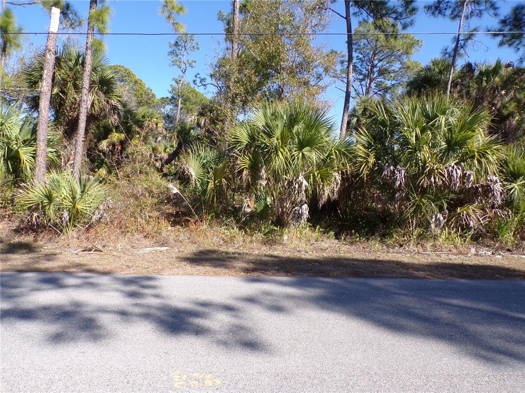 A paved road runs in front of a wooded lot filled with palm trees — MERCED STREET, NORTH PORT, FL