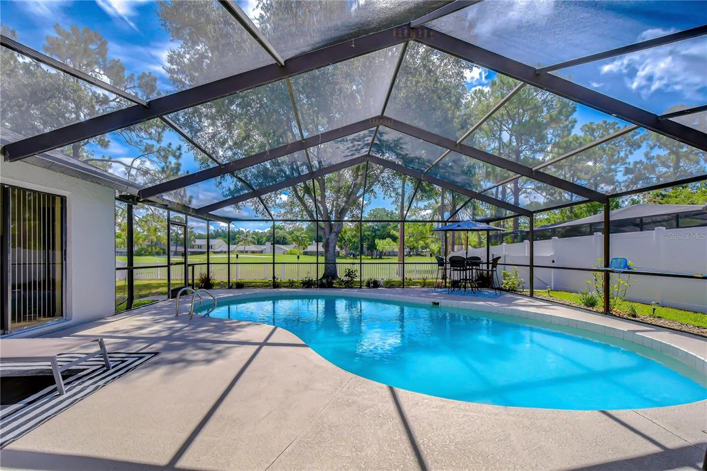 A screened-in pool patio features a kidney-shaped swimming pool and a dining set — 16605 E COURSE DRIVE, TAMPA, FL