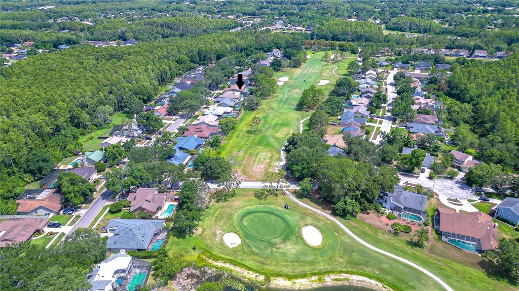 An aerial view shows a residential neighborhood bordering a golf course with a green fairway — 16605 E COURSE DRIVE, TAMPA, FL