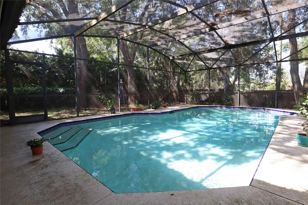 A screened-in swimming pool with a concrete deck surrounded by mature trees — 5722 BAY SIDE DRIVE, ORLANDO, FL