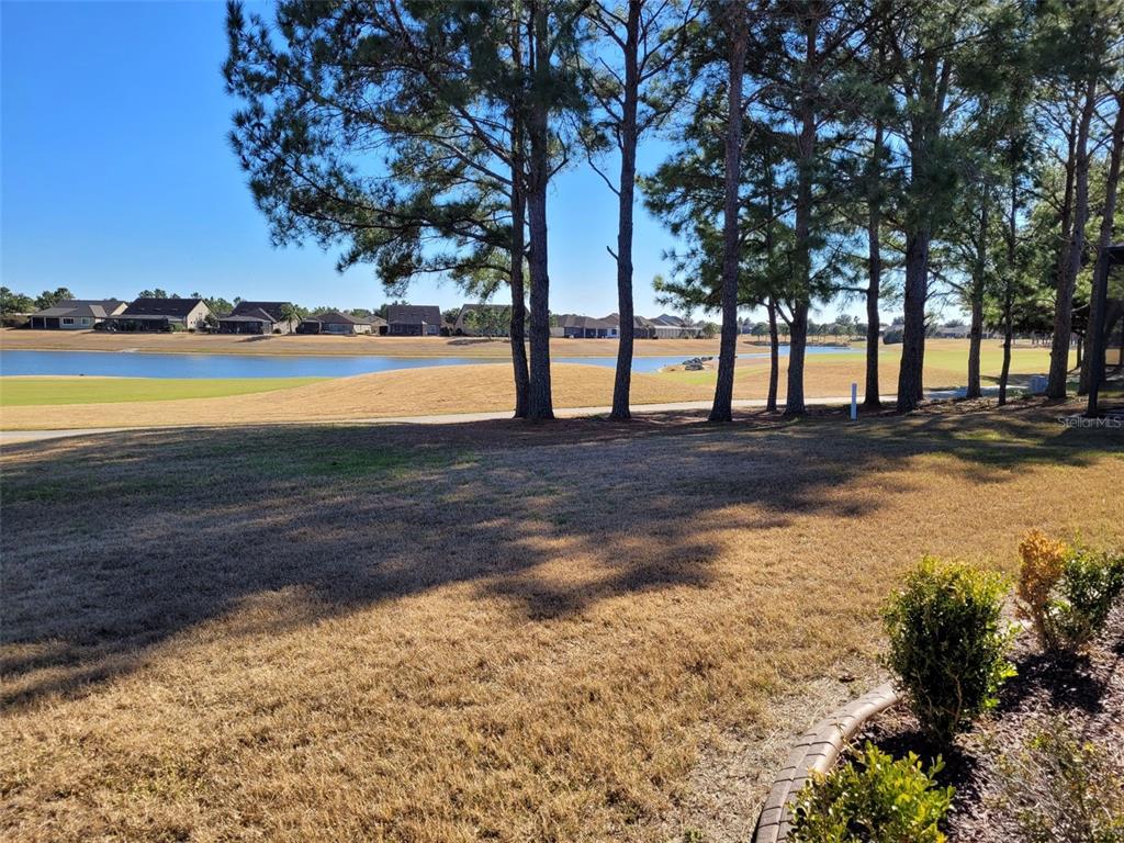 A view of a golf course and pond from a grassy backyard with pine trees — 6443 SW 97TH TERRACE ROAD, OCALA, FL