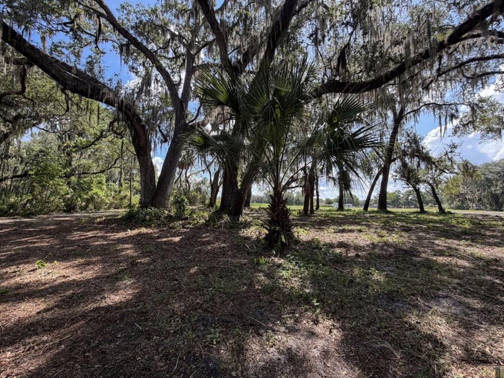 A grassy, undeveloped lot sits beside a paved road under a blue, cloudy sky — HORTON ROAD, PLANT CITY, FL