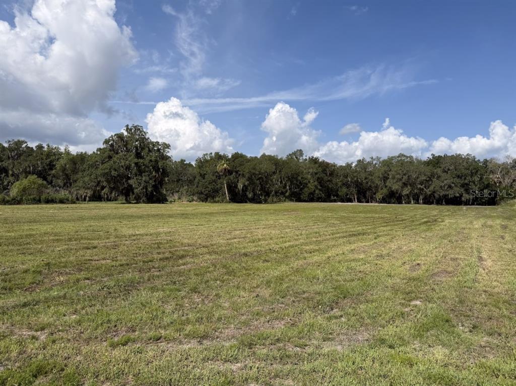 A grassy, partially cleared lot features mature trees draped with Spanish moss under a blue sky — HORTON ROAD, PLANT CITY, FL