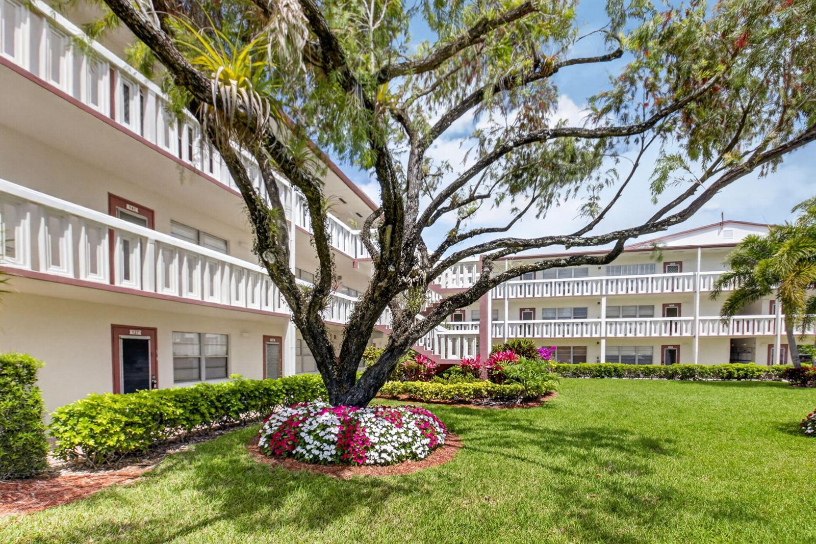 A large tree with a flower bed stands in the courtyard of a multi-story apartment building — 144 Fanshaw D, Boca Raton FL 33434, BOCA RATON, FL