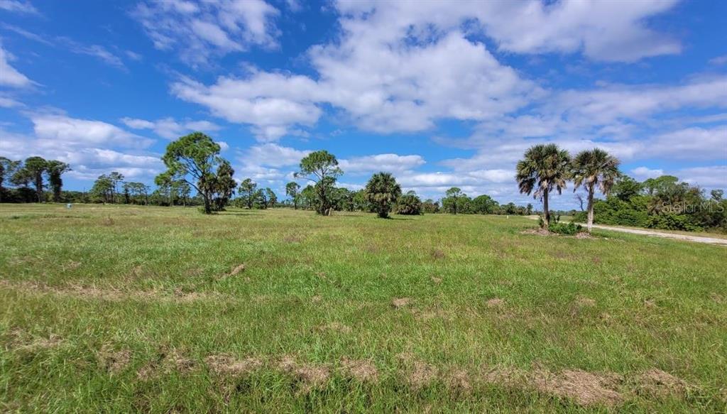 A wide, grassy field features scattered trees under a blue sky with white clouds — 13111 BLUE MARLIN ROAD, PLACIDA, FL