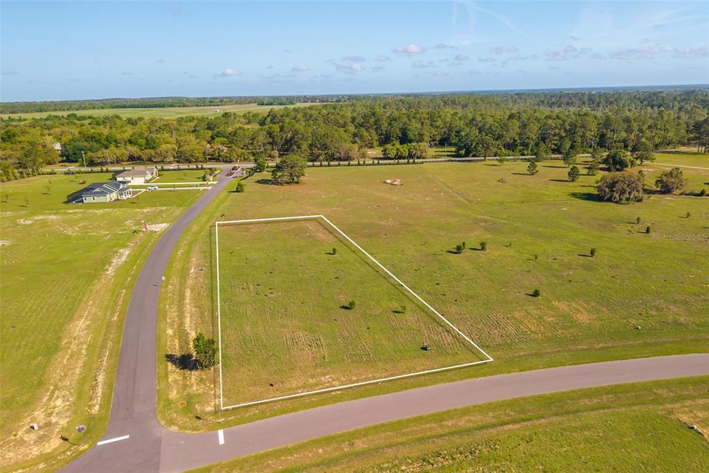 An aerial view shows a vacant, rectangular lot outlined in white next to a paved road — 38529 WOODED MEADOW DRIVE, UMATILLA, FL