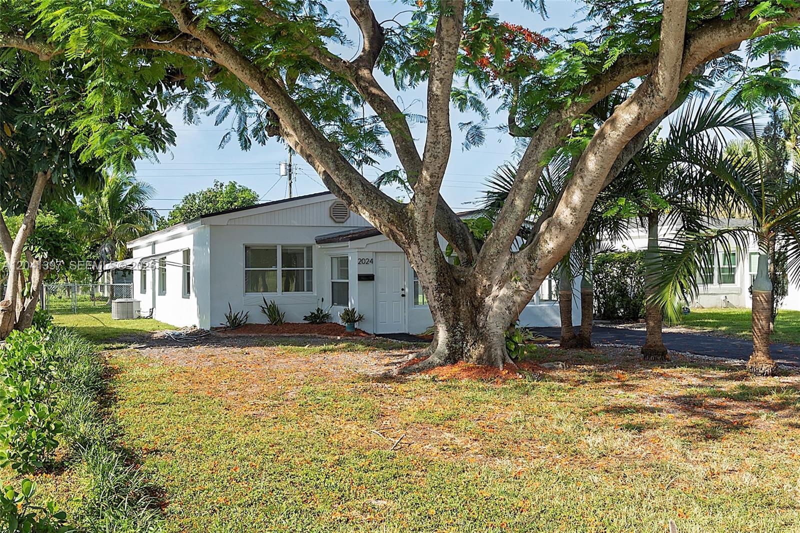 A white single-story house is partially obscured by a large tree in the front yard — 2024 NE 174th St, North Miami Beach FL 33162, NORTH MIAMI BEACH, FL