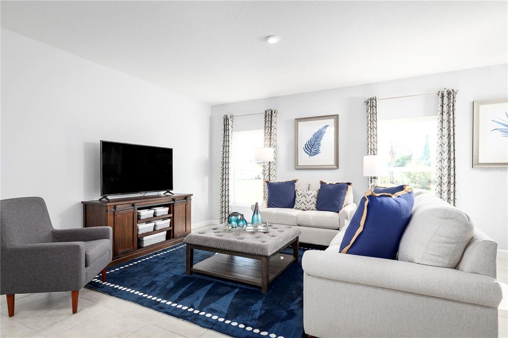 A living room features a grey armchair, a sofa, a television console, and a rug — 4826 RIVER BIRCH BEND, LAKELAND, FL