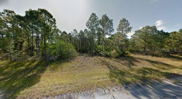 BLUELEAF DRIVE, NORTH PORT, FL — photo 2 of 5
