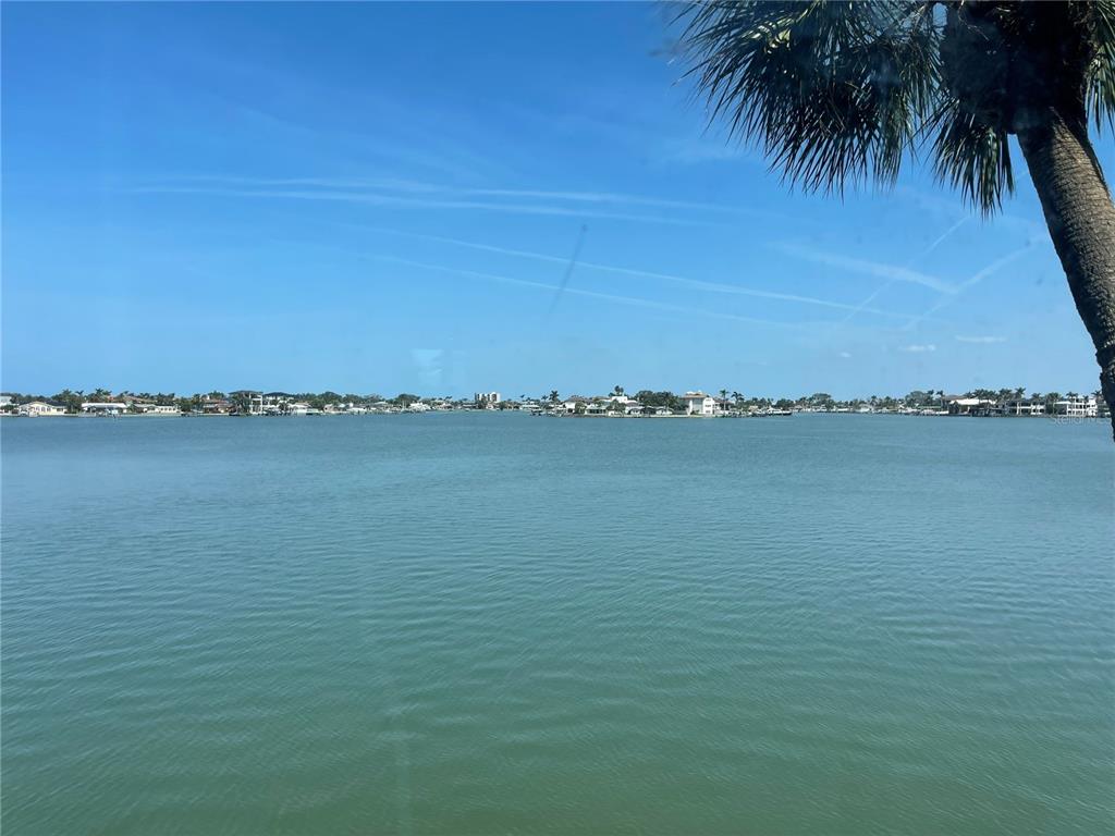 A view of a calm bay with houses along the distant shoreline and palm fronds — 7910 SUN ISLAND DRIVE S UNIT 203, SOUTH PASADENA, FL