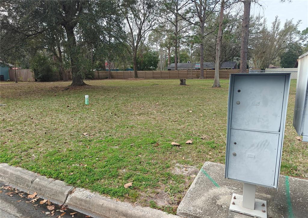 A vacant grassy lot features a utility box in the foreground and mature trees — NW 29TH TERRACE, GAINESVILLE, FL