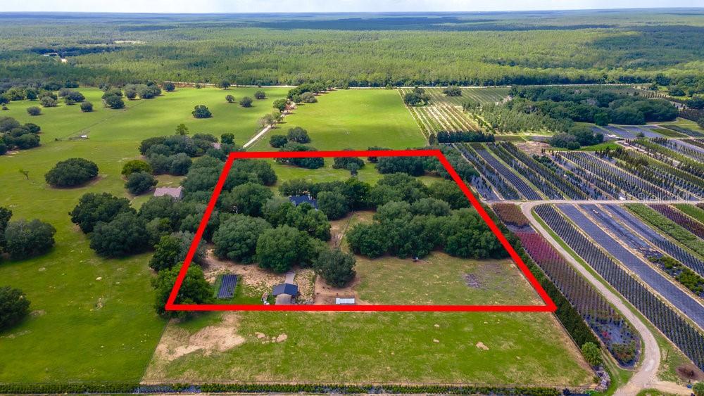 An aerial view shows a rural property with a house surrounded by trees and fields — 23100 SE HIGHWAY 42, UMATILLA, FL